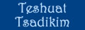 Introduction to "Teshuat Tsadikim"