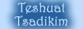 Introduction to "Teshuat Tsadikim"